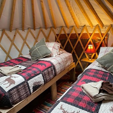 Nauti Otter Inn And Yurt Village Seward Habitación foto